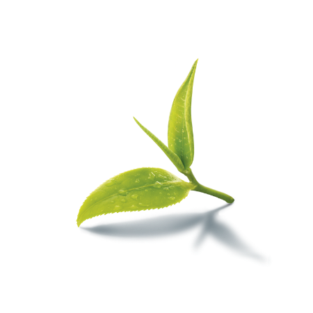 Picture for category Skincare