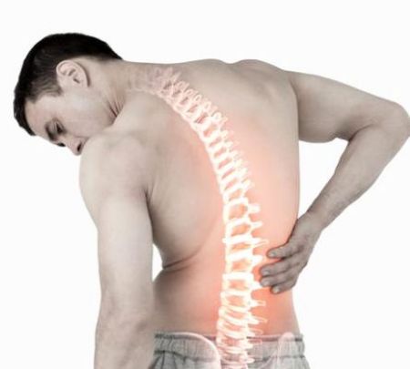 Picture for category joint support